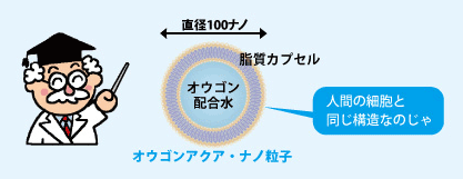 オウゴンアクアナノ粒子は人間の細胞と同じ構造