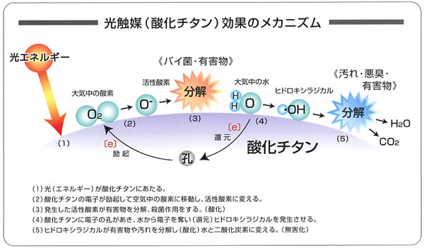 光触媒パッケージ