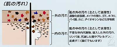 肌の汚れ...1.肌の外の汚れ(主として油溶性)過酸化皮脂膜、メイクの残り、ゴミ、ホコリ、ばい菌、カビ、ダイオキシンなど化学物質 2.肌の中の汚れ(主として水溶性)不要な体内代謝物、侵入した外の汚れ、リンパ液、死滅した菌やアレルゲン、皮膚ダニ(誰にでもいます)