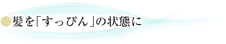 髪を「すっぴん」の状態に