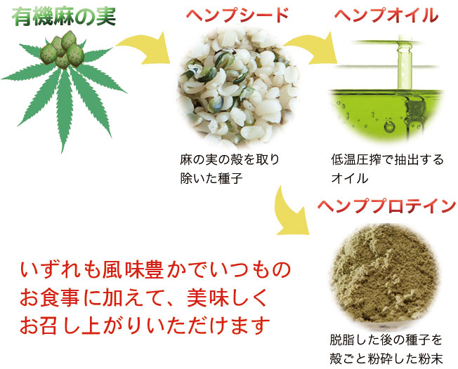 有機麻の実→ヘンプシード→ヘンプオイル　ヘンププロテイン