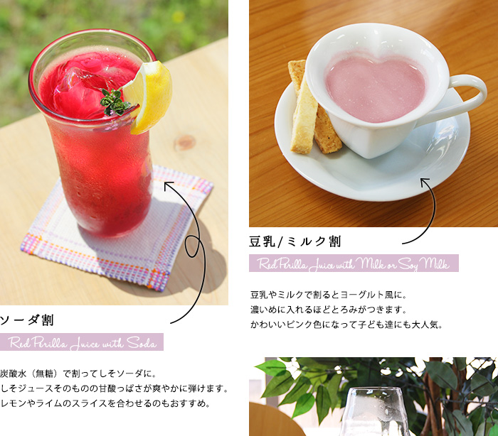 レシピ写真1