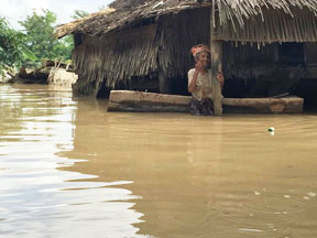 2015年ミャンマー大水害の写真