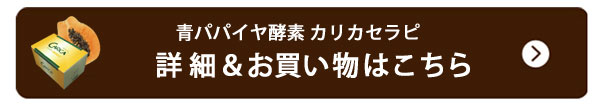 詳細＆お買い物はこちら
