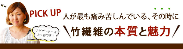 竹繊維の本質と魅力