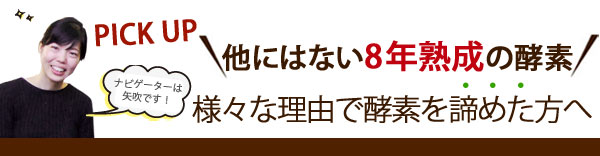 ジューサーで作る緑の血液