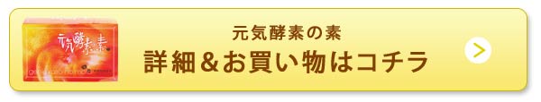 詳細＆お買い物はコチラ