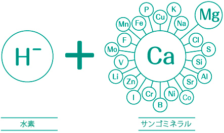 サンゴからのミネラルと水素を一度に！