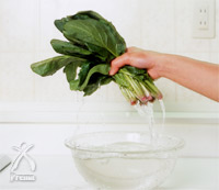 センチュリアン:野菜がパリっと