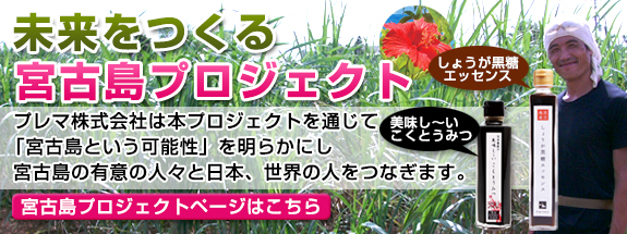 未来をつくる宮古島プロジェクト