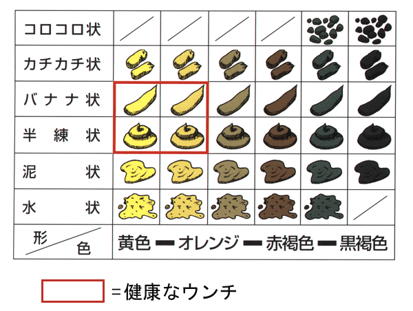 理想的なうんち（大便）をチェック表