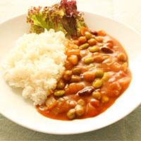 井上スパイス 植物生まれのカレールゥ 中辛70g