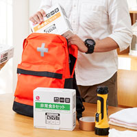 イシイ／石井食品 非常食セット Aセット