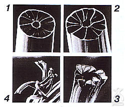 ジンノのふとん：ミクロガード糸の構造