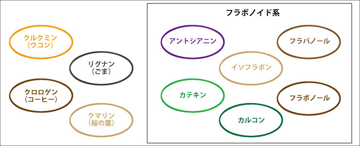 ポリフェノールの種類
