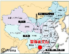 三七人参の原産地地図