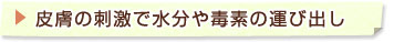 皮膚の刺激で水分や毒素の運び出し