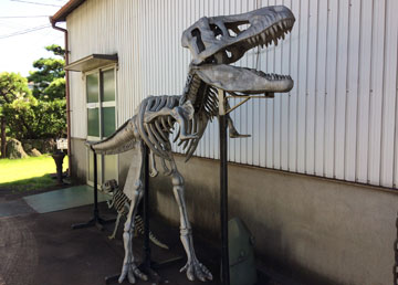恐竜の骨格模型の写真