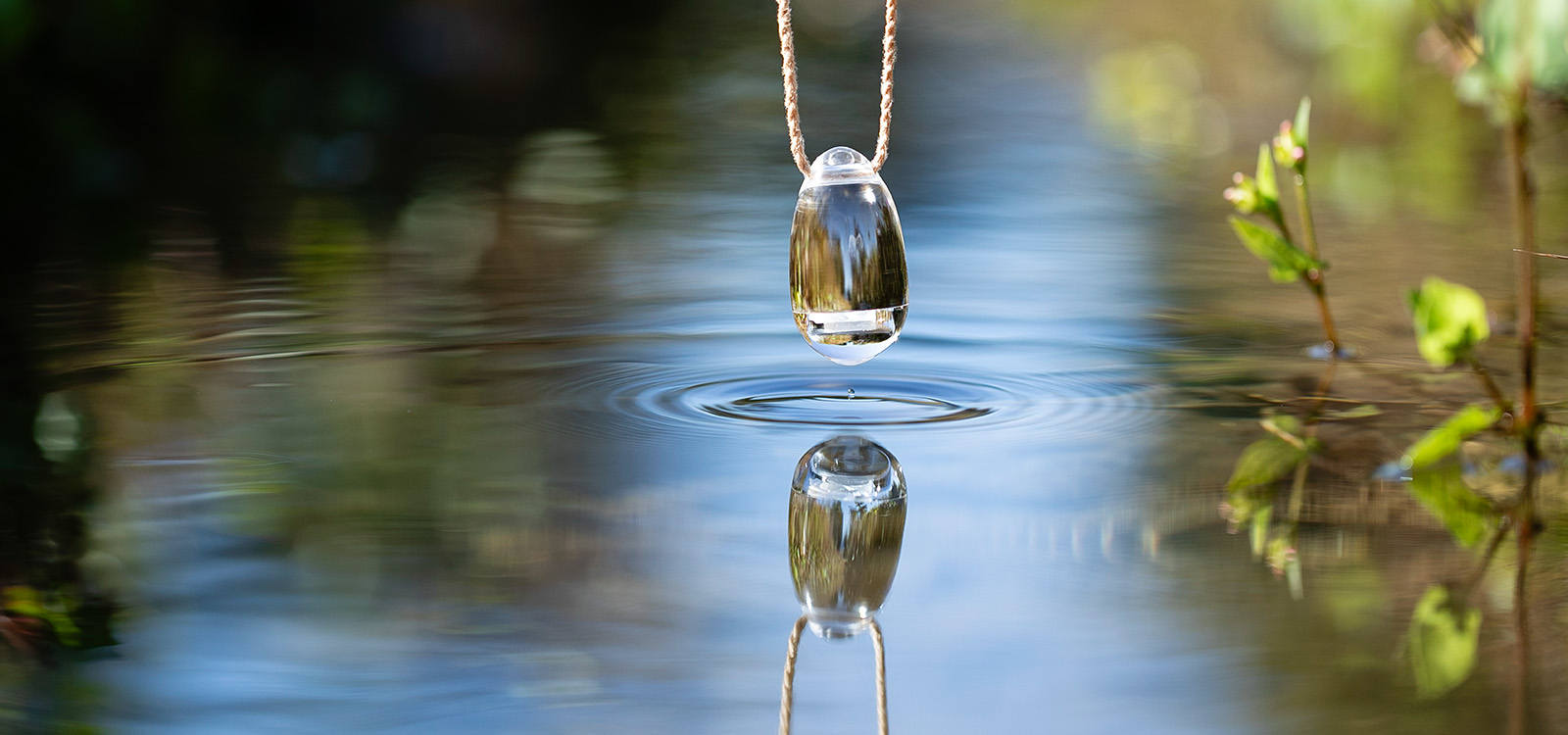 パソコン用の画像