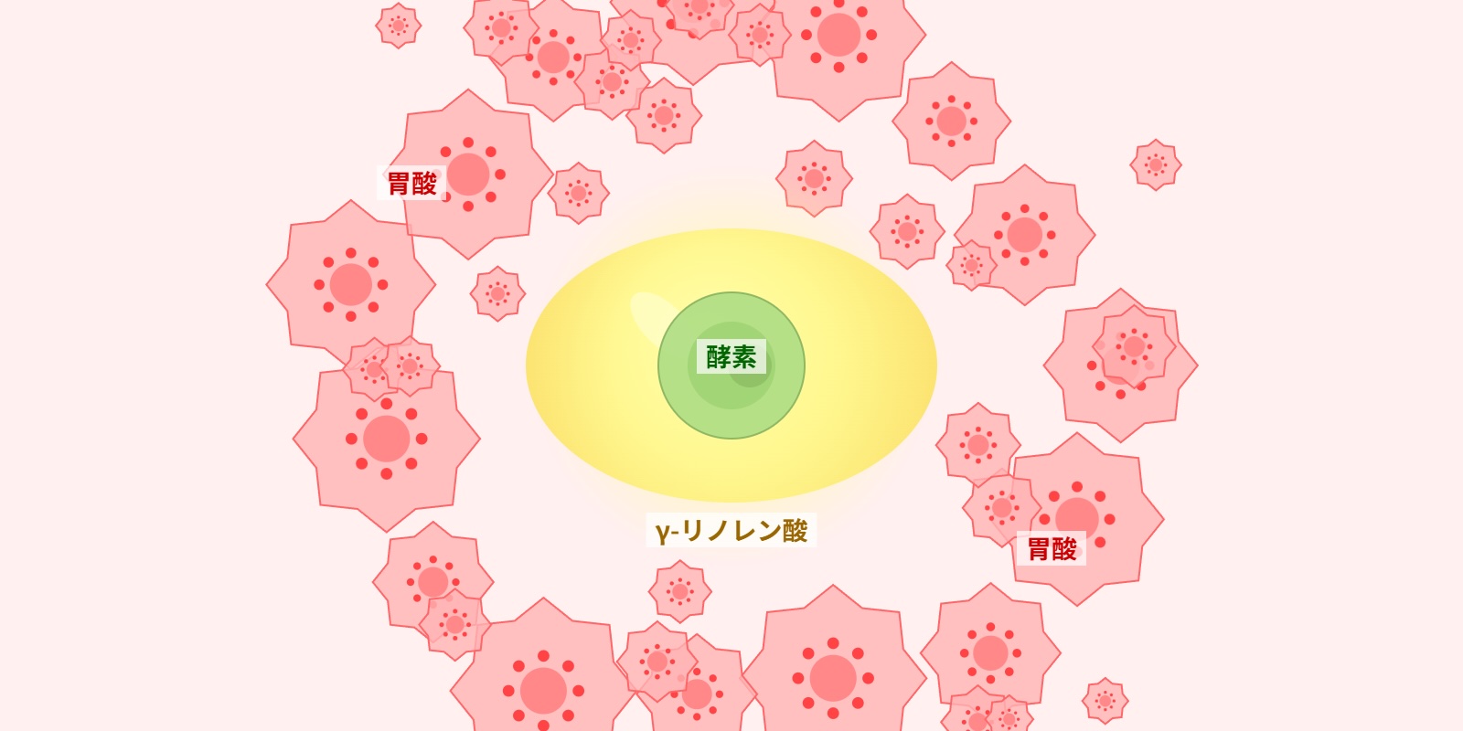 パソコン用の画像