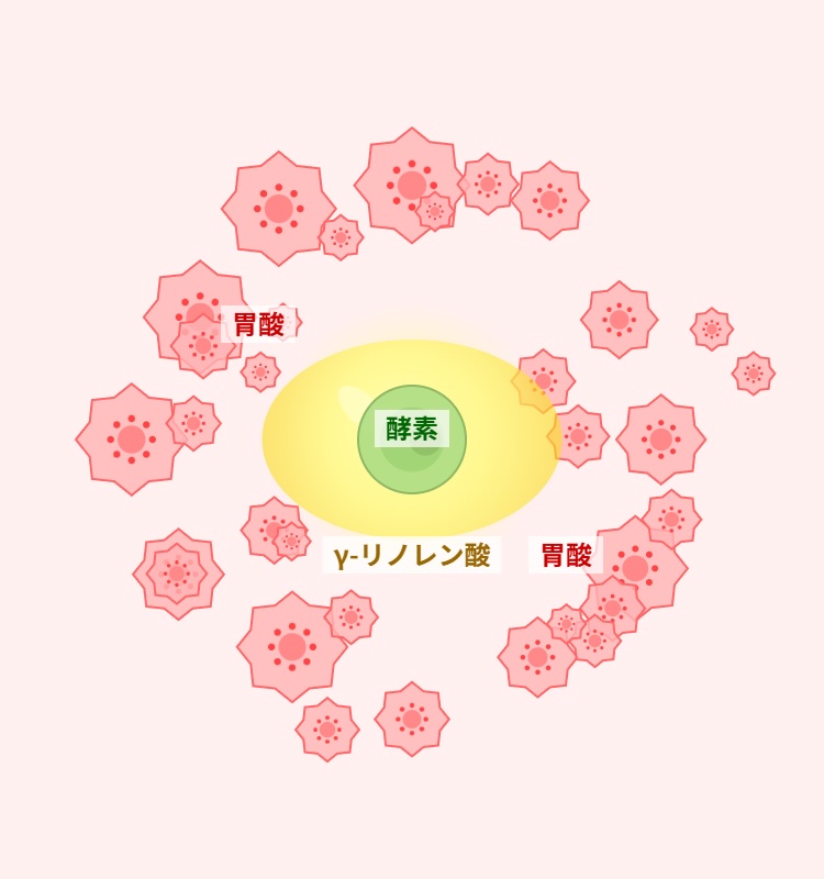 スマートフォン用の画像