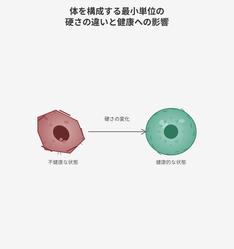 スマートフォン用の画像