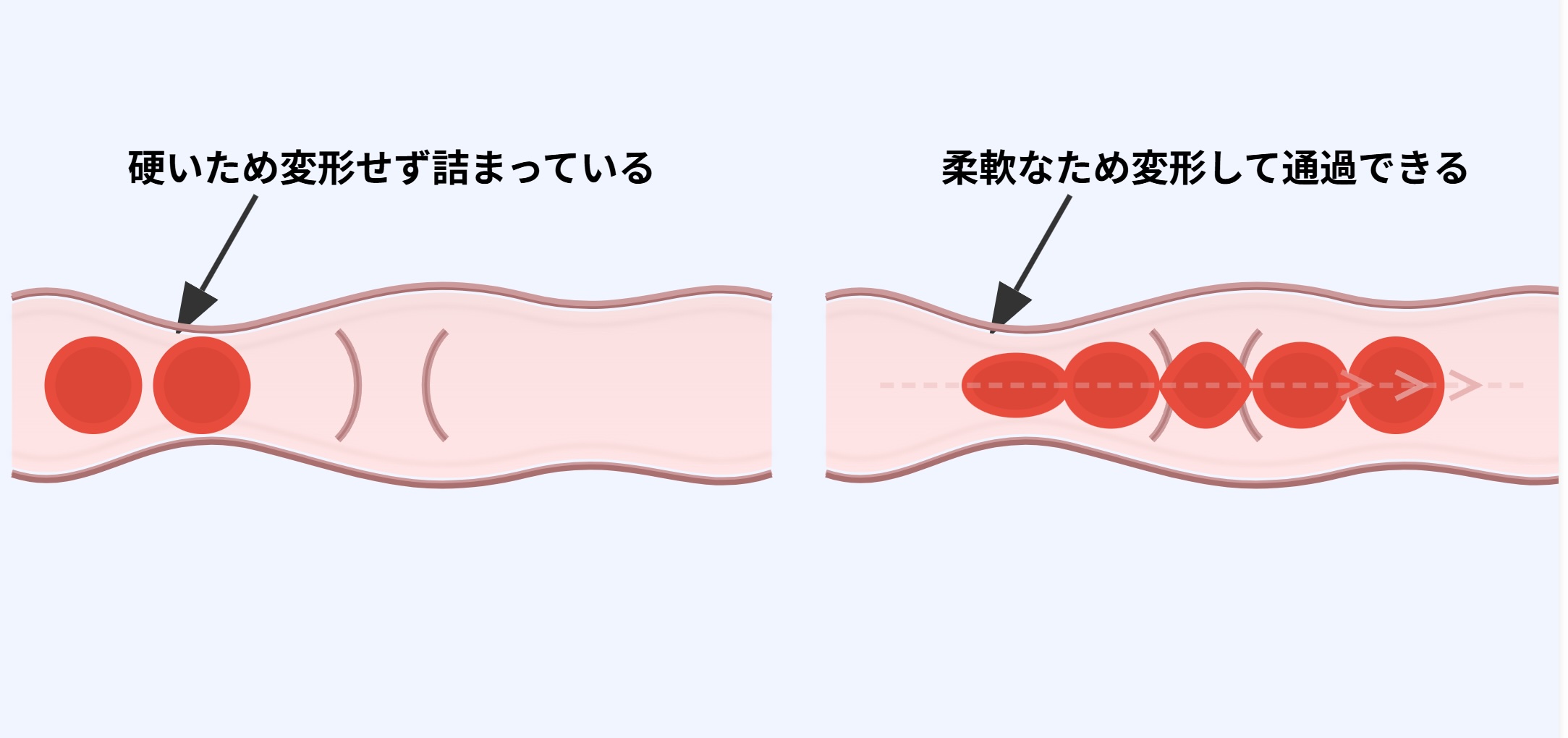 パソコン用の画像