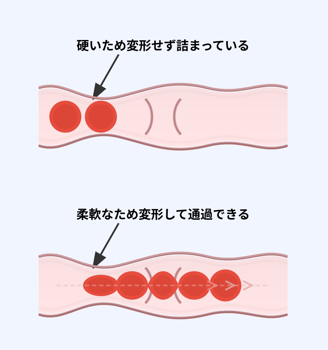 スマートフォン用の画像