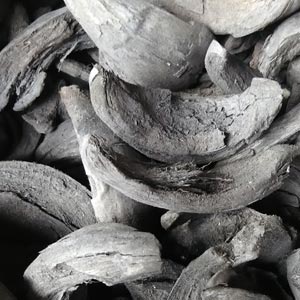 ココナッツ皮の炭