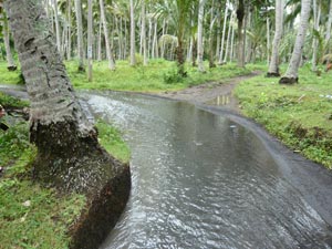 雨が降ると道は川に