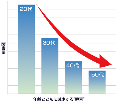 年齢とともに減少する“酵素”のグラフ