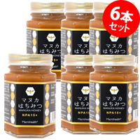 マクロヘルス マヌカはちみつ NPA15＋ 180g×6本