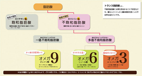 脂肪酸の分類グラフ