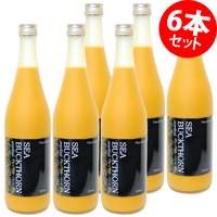 マクロヘルス シーバックソーン（サジー）コーディアル 720ml×6本