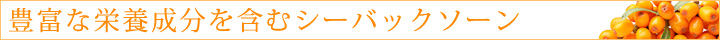 豊富な栄養成分を含むシーバックソーン