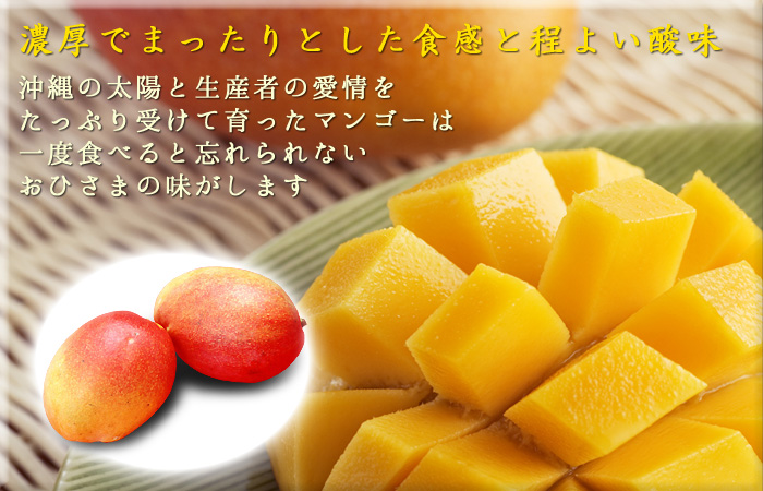 濃厚でまったりとした食感と程よい酸味。沖縄の太陽と生産者の愛情をたっぷり受けて育ったマンゴーは一度食べると忘れられないおひさまの味がします。