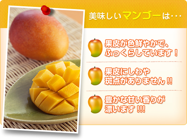 美味しいマンゴーは…　果皮が色鮮やかで、ふっくらしています！/果皮にしわや斑点がありません！！/豊かな甘い香りが漂います！！！