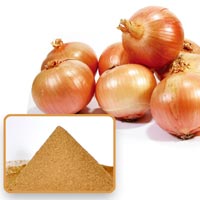 ユニマットリケン 国産たまねぎの皮 粉末100％ 100g