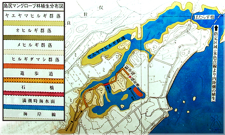 島尻マングローブ林地図