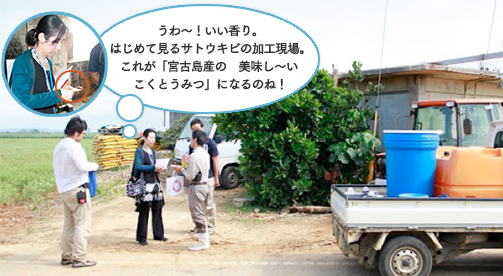 うわ~!いい香り。はじめて見るサトウキビの加工現場。これが「宮古島産の 美味し~いこくとうみつ」になるのね!