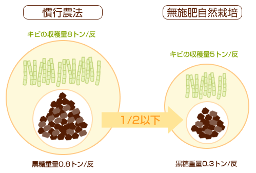 慣行農法と無施肥自然栽培の違い