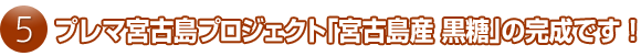 5）プレマ宮古島プロジェクト「宮古島産　黒糖」の完成です！