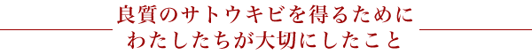 良質のサトウキビを得るためにわたしたちが大切にしたこと