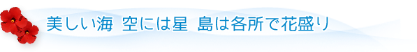 美しい海 空には星 島は各所で花盛り