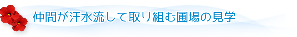 仲間が汗水流して取り組む圃場の見学