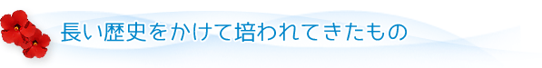 長い歴史をかけて培われてきたもの