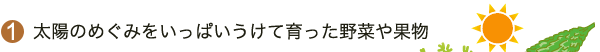 太陽のめぐみをいっぱいうけて育った野菜や果物