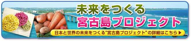 宮古島プロジェクトトップページ