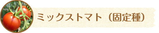 ミックストマト（固定種）