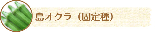 島オクラ（固定種）